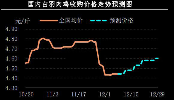 第1407页