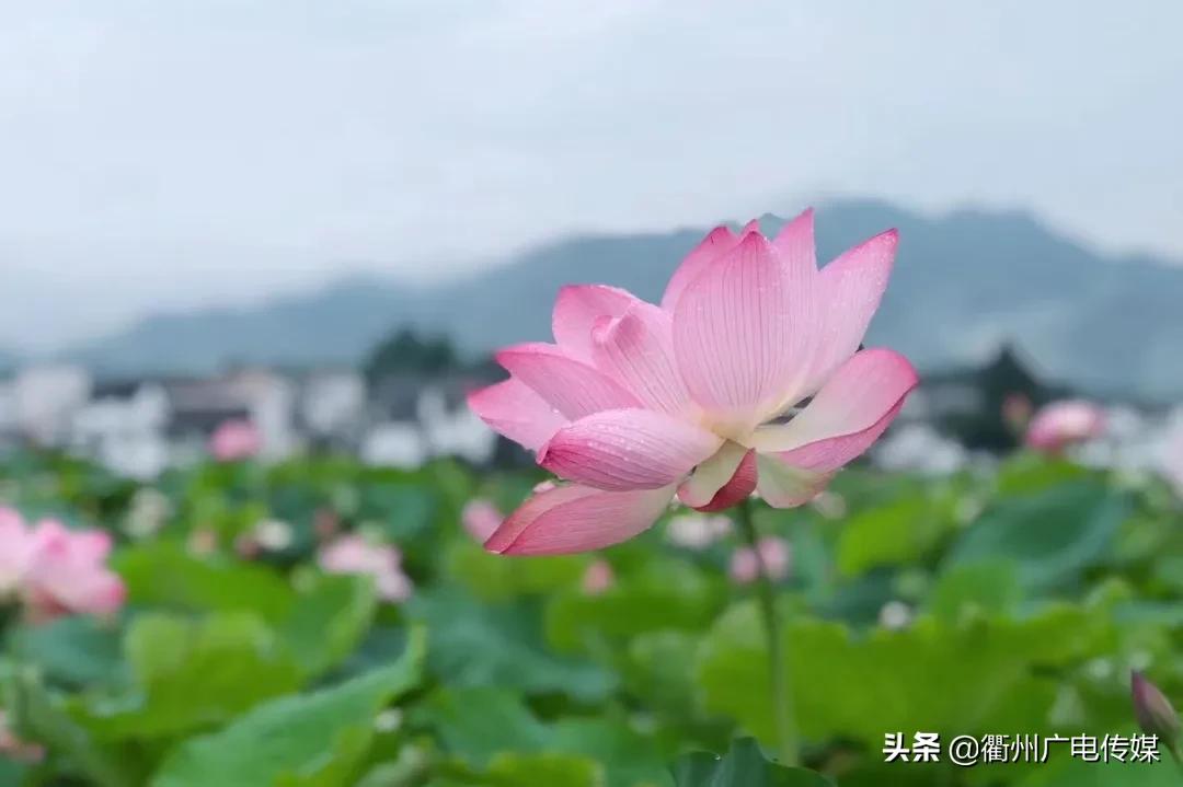 衢州最新地图揭示城市蓬勃发展新脉络