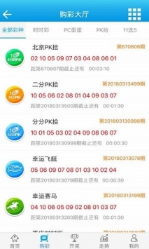 新澳门王中王100%期期中,实地方案验证_iShop92.372