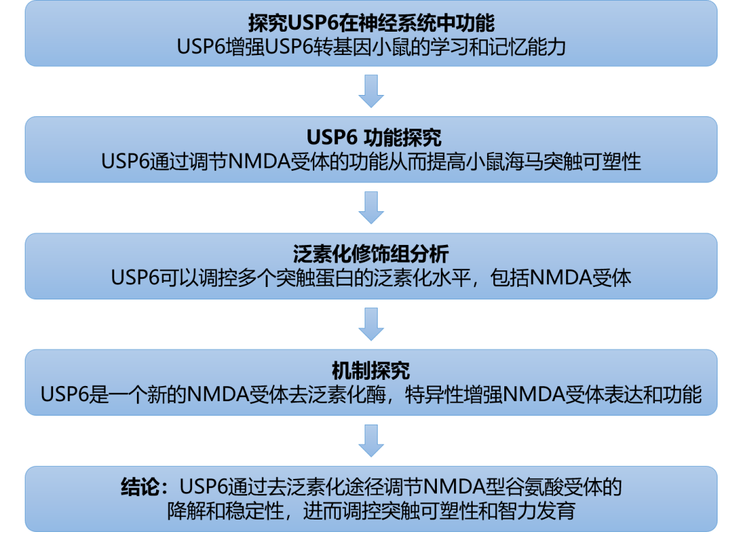 新澳精准资料免费大全,全局性策略实施协调_WP97.567