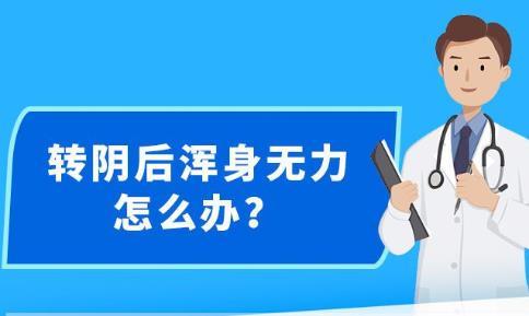 新澳精准资料大全免费,定性评估说明_RX版94.869