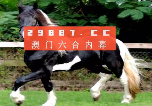 澳门今晚必开一肖一特,收益成语分析落实_豪华款95.347