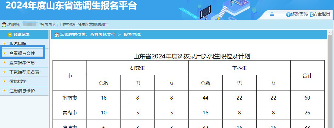 2024年精准资料大全,实地研究解析说明_领航款91.975