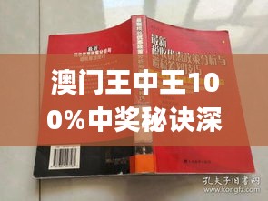 澳门王中王100%期期中一期,定制化执行方案分析_1440p28.162