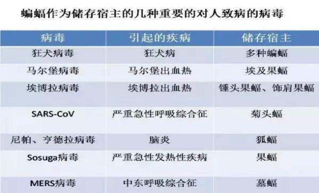 2024年澳门今晚开奖结果,权威诠释推进方式_soft34.706