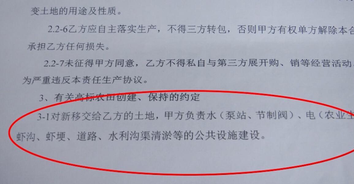 虾子镇未来蓝图，繁荣与生态和谐的规划新篇章