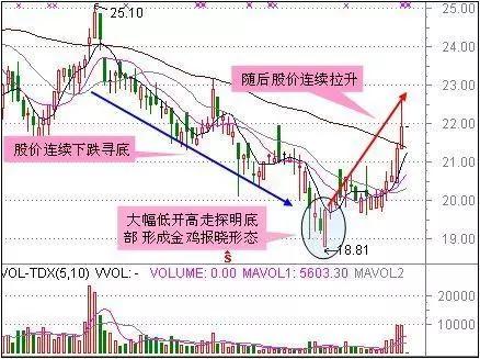 澳门一码一码100准确张子慧：深刻洞察人性，引人深思