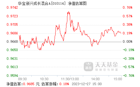 新华成长基金最新净值，深度分析与展望