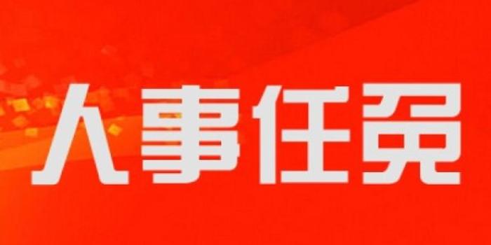 武侯区领导层最新任免动态，新变化及其深远影响