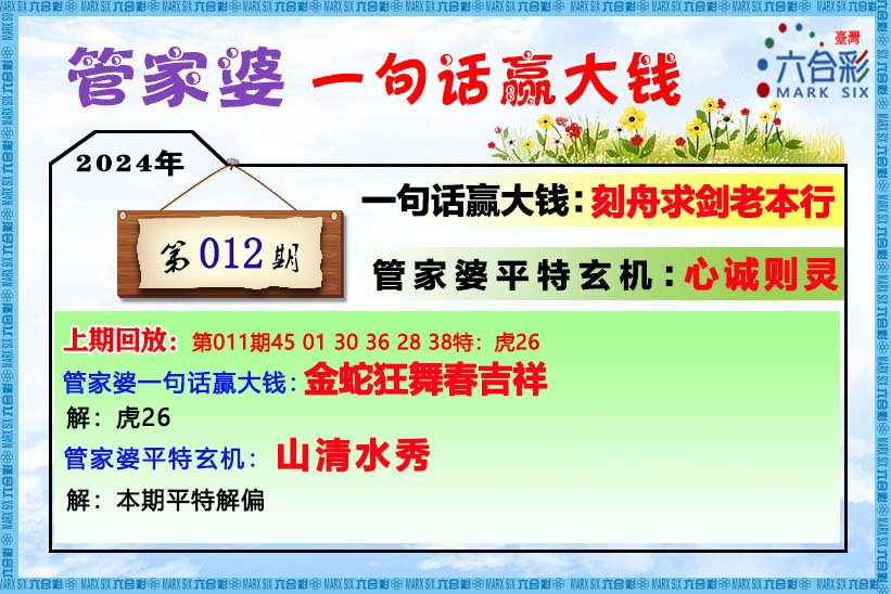 管家婆的资料一肖中特46期,绝对经典解释落实_标准版82.492