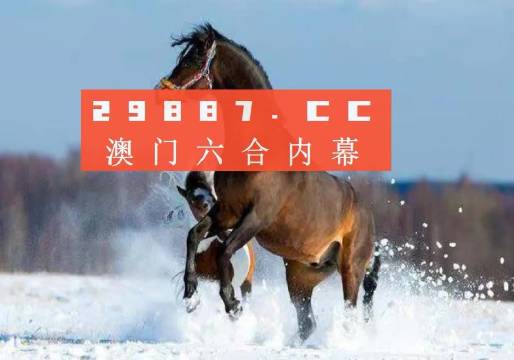 澳门一肖一码一必中一肖同舟前进,资源整合策略实施_C版17.739