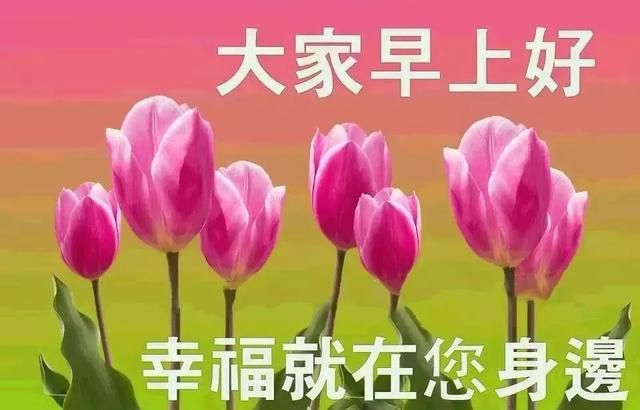 最新问候图片，情感与祝福的完美传递之道