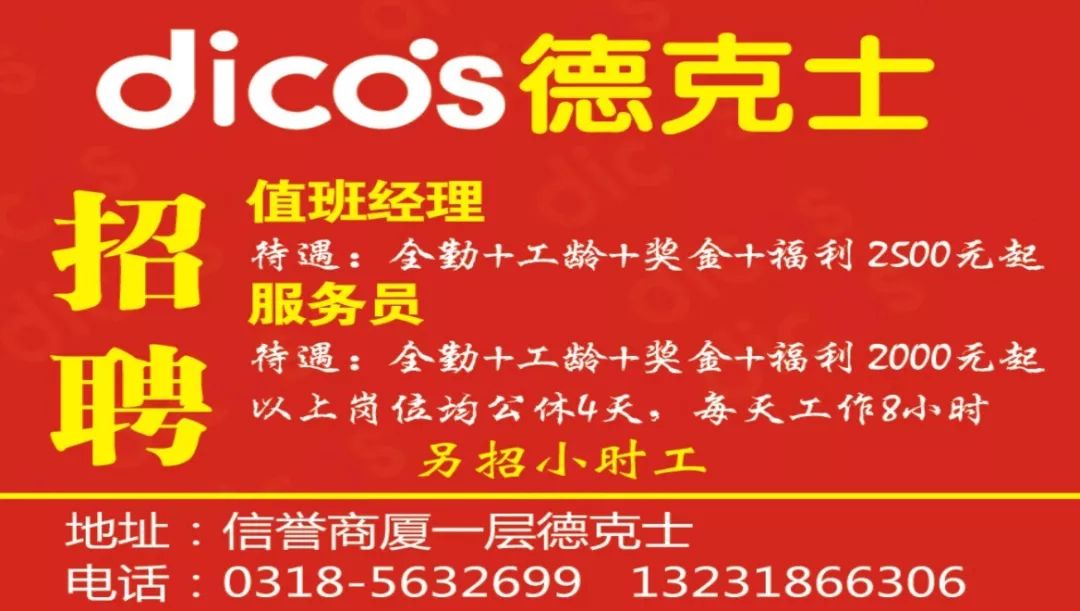 豹澥最新招聘动态，探索职业发展新机遇