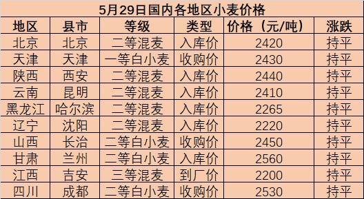 内蒙小麦最新价格动态解析