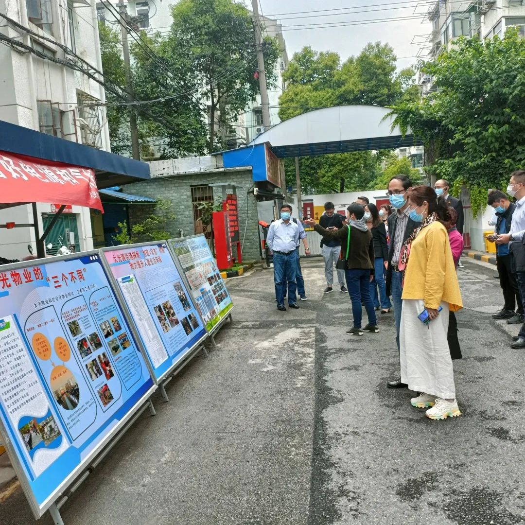 太阳街道新项目，重塑城市未来面貌的宏伟蓝图