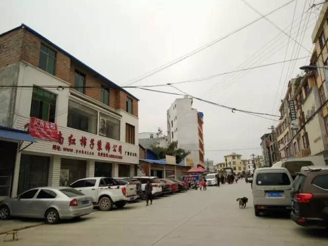 广南宗地市场新机遇，投资潜力巨大的土地出售