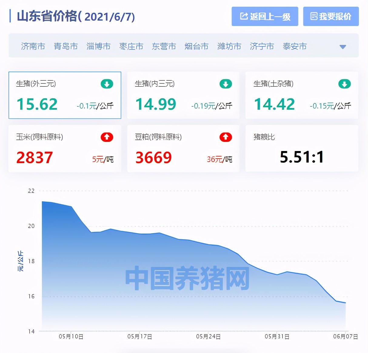 泰安生猪最新报价动态解析