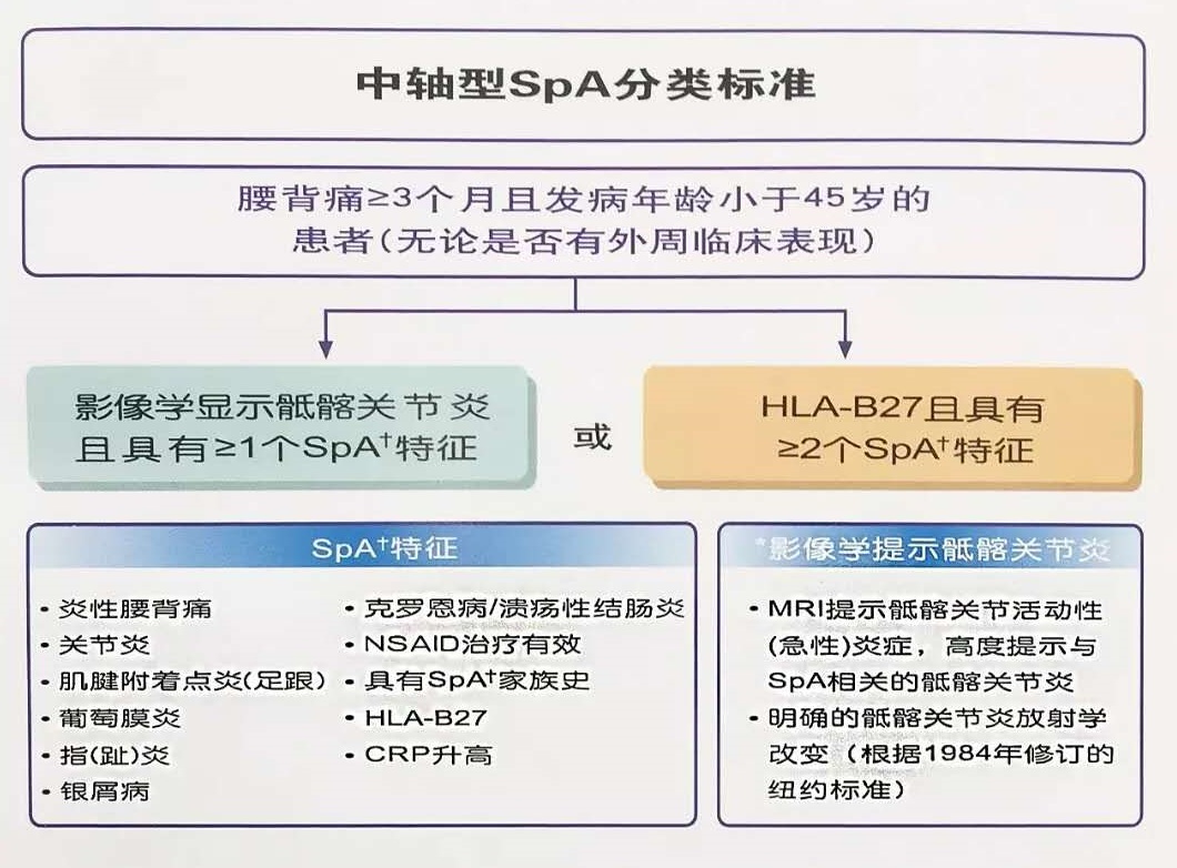 脊柱关节病最新指南，理解、预防与治疗全攻略