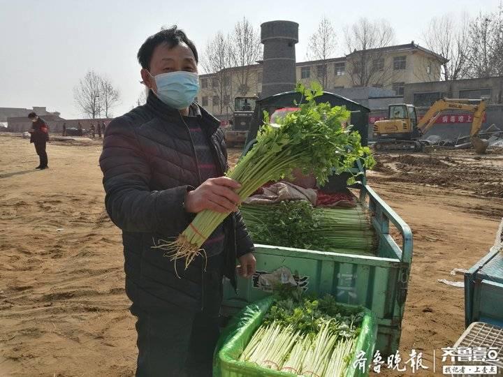 泰安芹菜产地价格动态解析