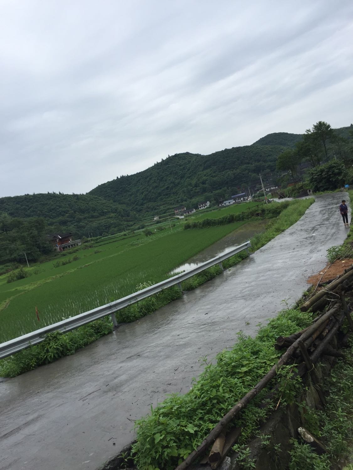 罗家山村民委员会天气预报更新通知